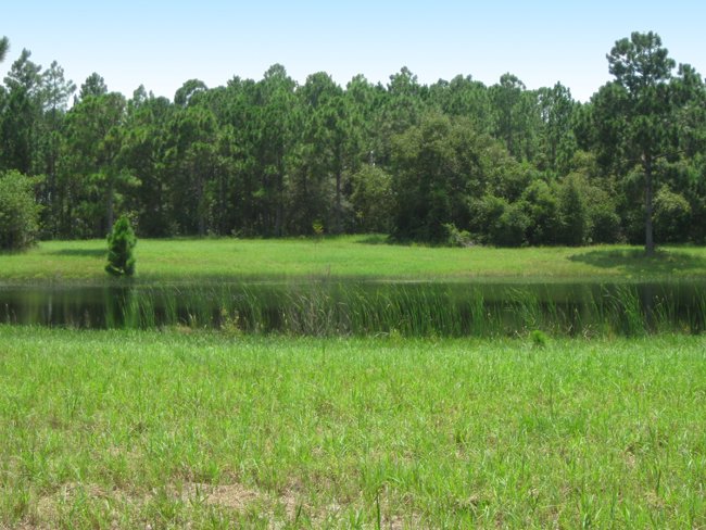 Wellspring of Gaia II